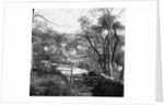 Cornaa Mill, Isle of Man by George Bellett Cowen